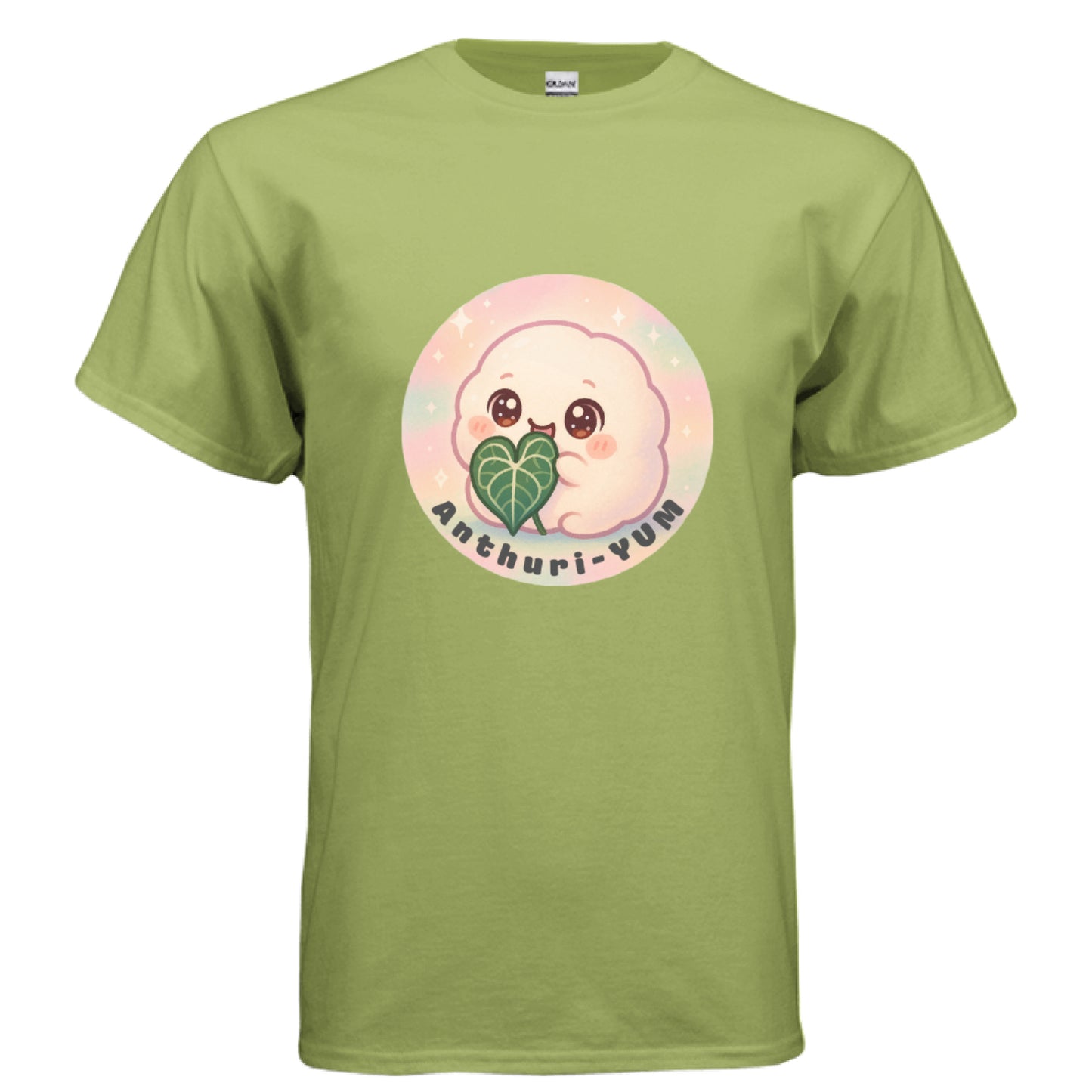 KIWI - FRONT